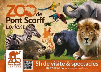 zoo